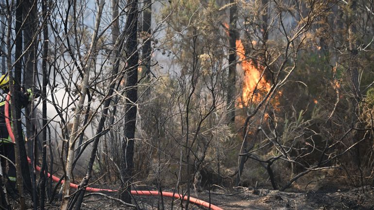 Incendies en Europe : l'incendie en Gironde stabilisé malgré des reprises de feu, avant l'arrivée d'un nouveau "pic de chaleur"