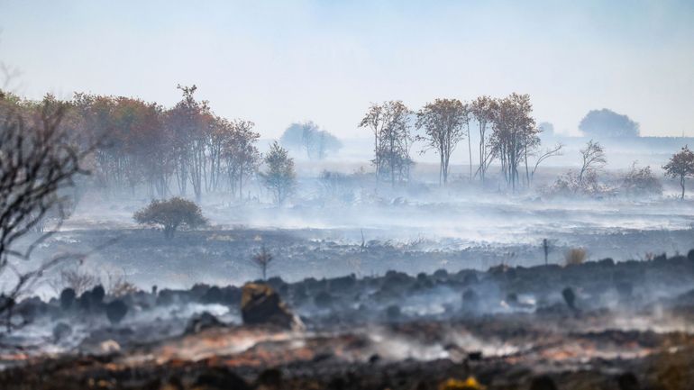 Pollution record de l'air en Wallonie suite à l'incendie des Hautes Fagnes : la population a été mal informée
