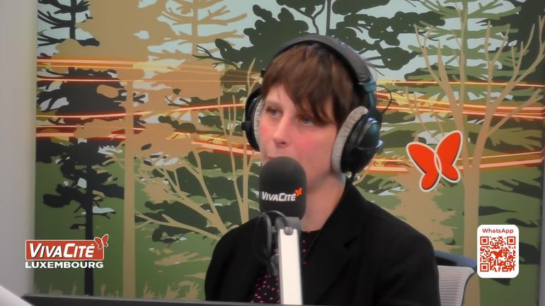 La Chronique Littéraire d’Alicia Morette : "Au-dessus des marécages, les oiseaux", de Jacinthe Mazzocchetti