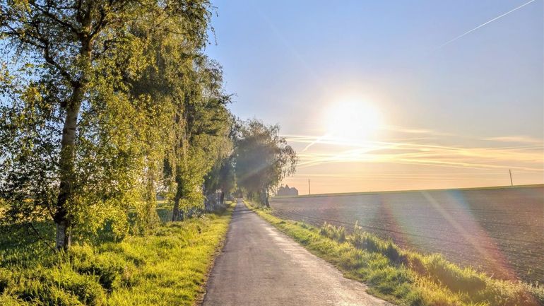 Météo en Belgique : la cueillette du muguet pourra se faire sous la chaleur et un soleil omniprésent