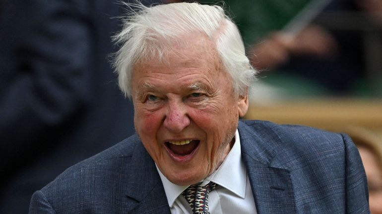 David Attenborough a 100 ans : comment le visage du documentaire animalier a allié la science et l’art du storytelling