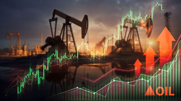 Crise énergétique : les superprofits des géants pétroliers s'envolent vers les paradis fiscaux