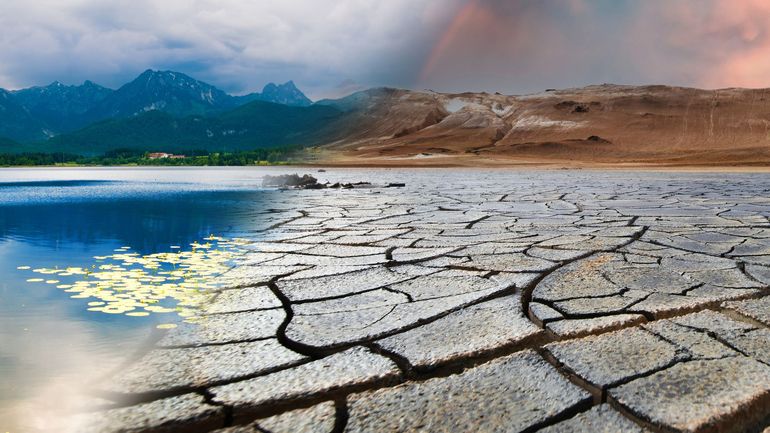 Toujours préoccupés par l'environnement et le climat, les Belges demandent aux autorités d'accélérer la transition