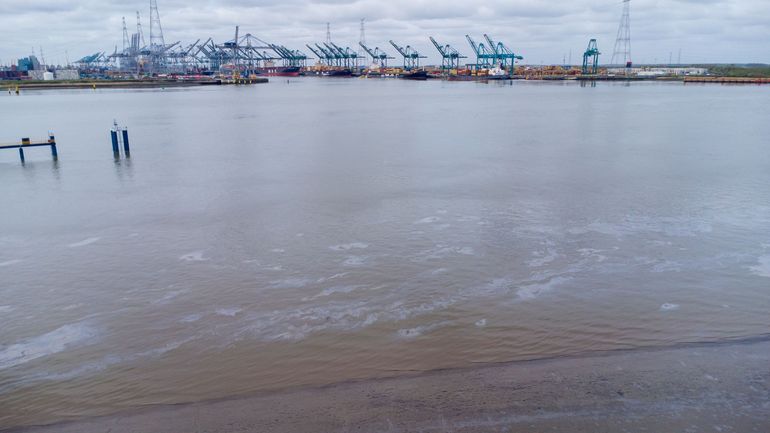 Fuite de pétrole dans le port d'Anvers : une partie des quais à nouveau opérationnelle