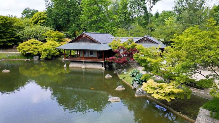 Jardin Japonais d'Hasselt : un voyage à Kyoto sans quitter la Belgique