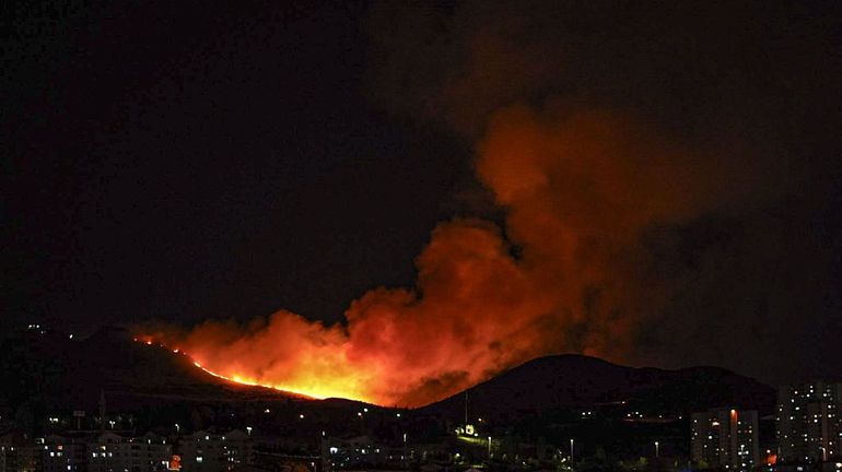Feux de forêt en Turquie : un incendie embrase l'est d'Ankara