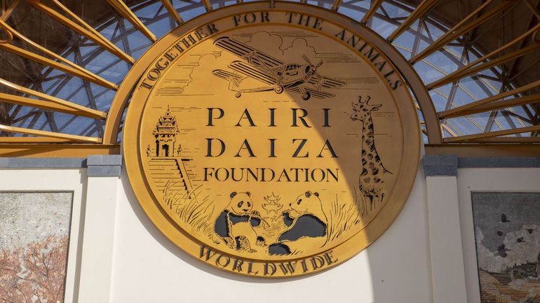 Le gouvernement Wallon octroie 11,5 millions d'euros à Païri Daïza pour son futur parc aquatique