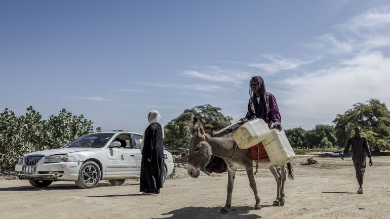 "Tués sur-le-champ": au Soudan, des survivants font état de massacres ethniques à El-Facher