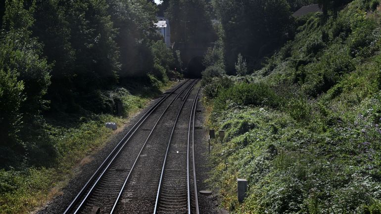 Deuxième déraillement de train en deux jours dans l'est de l'Angleterre, aucun blessé à déplorer