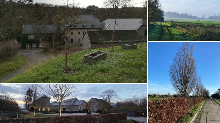 Les 4 marches Adeps du dimanche 14 décembre en Wallonie Les 4 marches Adeps du dimanche 14 décembre en Wallonie