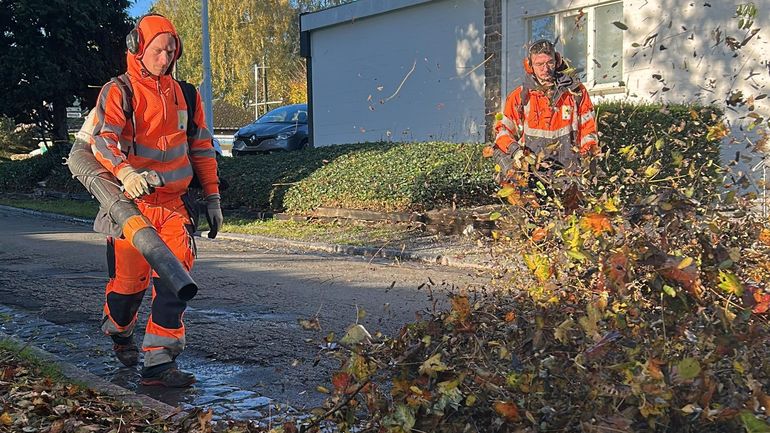 Tempête Benjamin : les feuilles mortes et déchets verts se ramassent à la pelle