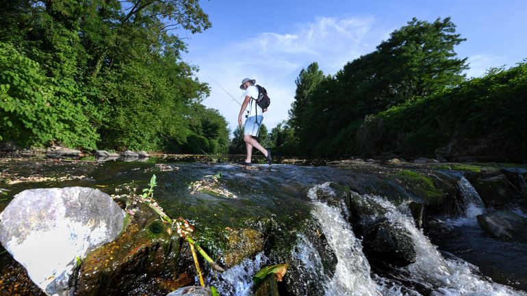 Canicule en France : dans l'Ain, les fortes chaleurs se sont montrées implacables pour les poissons d'eau douce