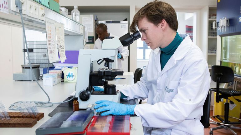 En 10 ans, le paludisme a doublé chez les voyageurs de retour en Belgique