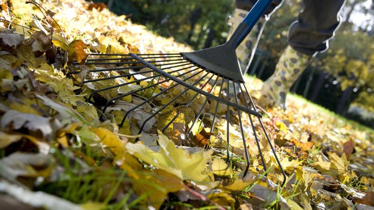 Automne : une saison propice pour travailler au jardin