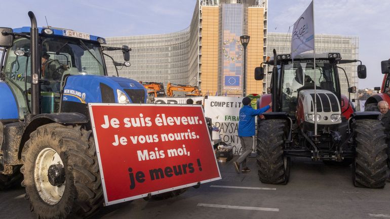 Grogne du monde agricole : les tracteurs de retour à Bruxelles ce jeudi Grogne du monde agricole : les tracteurs de retour à Bruxelles ce jeudi
