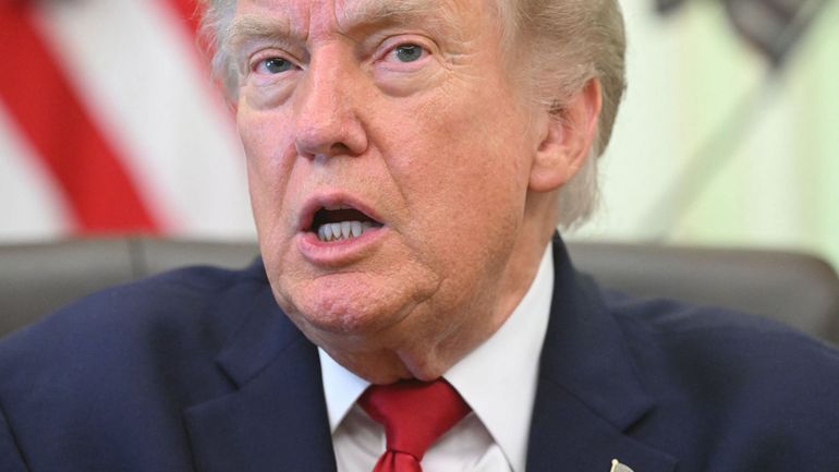 Sommet de l'Otan à Ankara : Donald Trump rencontrera les présidents ukrainien et syrien