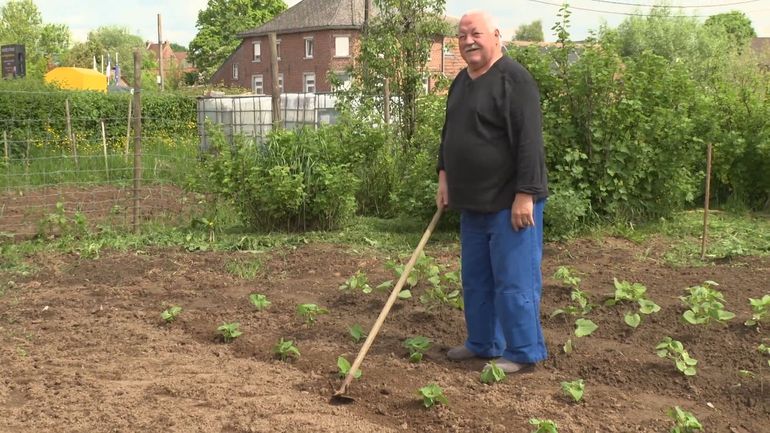 À Enghien, les potagers communaux font pousser fruits, légumes et lien social