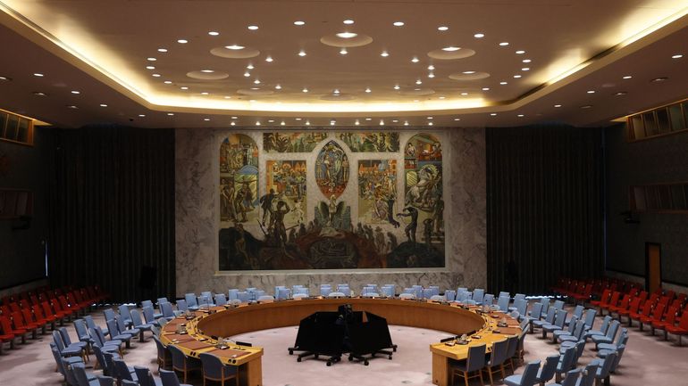 Le Conseil de sécurité de l'ONU a 80 ans : a-t-il encore une capacité d'action ?