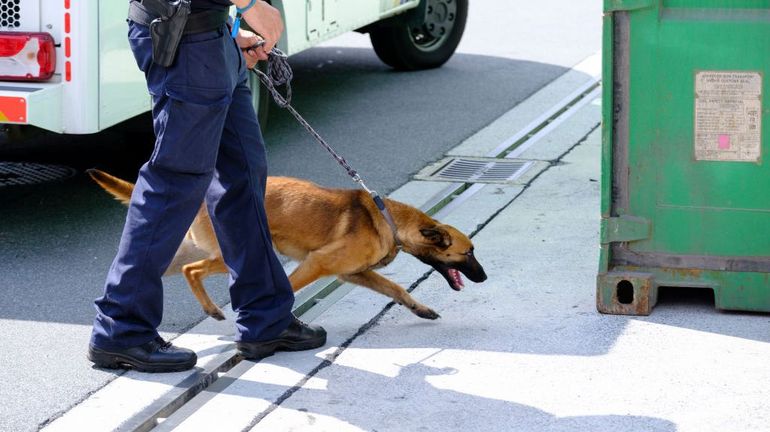 Port d'Anvers sous haute surveillance : plus de 300 travailleurs suspendus après des contrôles antidrogue