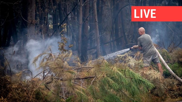 Direct - Incendies en Europe : crainte d'une aggravation du mégafeu en Gironde, l'Espagne voit "la lumière au bout du tunnel"