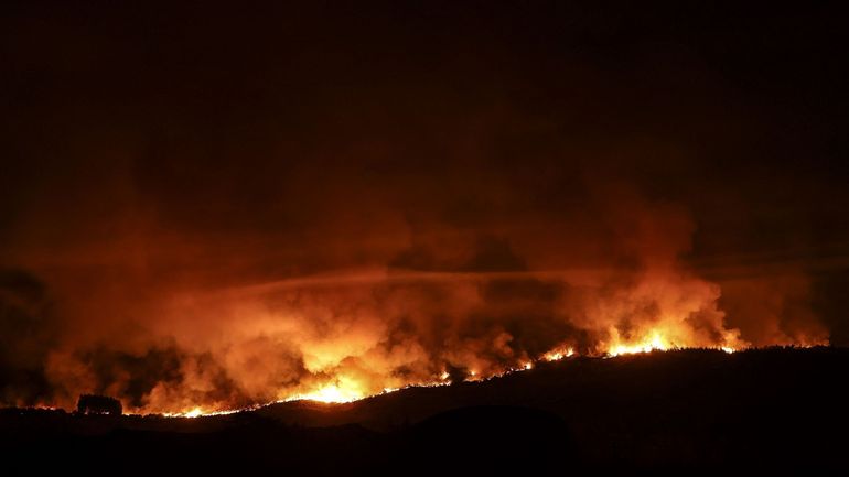 Feux de forêt en Europe : le niveau d’émissions de carbone le plus élevé jamais enregistré depuis le début des relevés