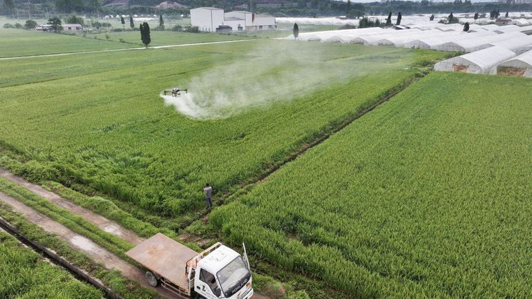 La Commission européenne propose d’autoriser sans limite de temps certains pesticides La Commission européenne propose d’autoriser sans limite de temps certains pesticides
