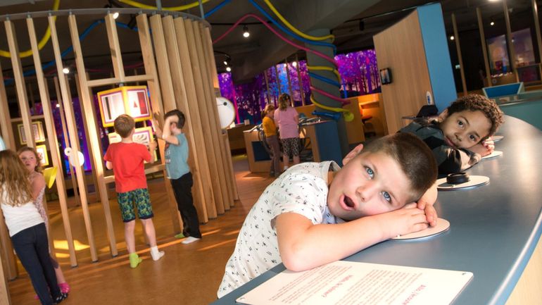 Houffalize : Houtopia, un centre récréatif pour comprendre le monde en s’amusant