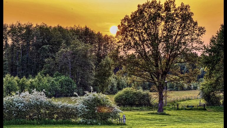 Météo en Belgique : soleil, ciel bleu et chaleur au programme de ce dimanche