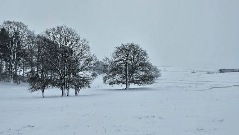 Les paysages et les jardins sublimés : la neige vous inspire (photos)