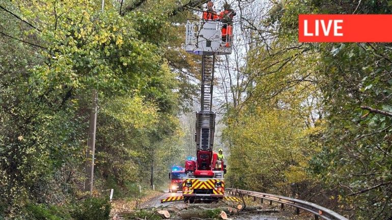 Direct – Tempête Benjamin : la circulation des trains perturbée sur deux tronçons en Wallonie à cause d'arbres tombés