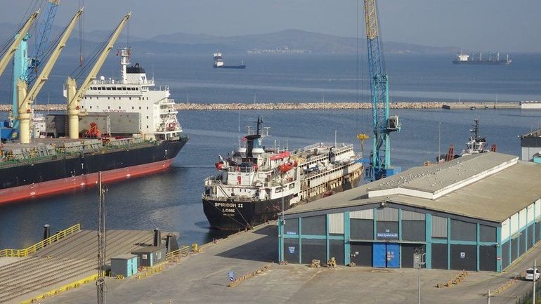 Au moins 58 animaux morts à bord d'un cargo bloqué au large de la Turquie