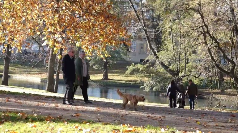 Un cas de grippe aviaire détecté au parc de la Boverie : la Ville de Liège met en garde et déconseille d'y promener des animaux