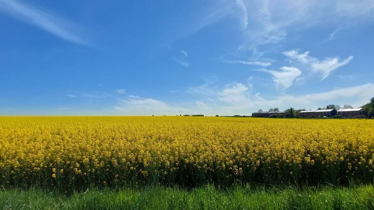 Météo en Belgique : Une légère bise et une certaine douceur