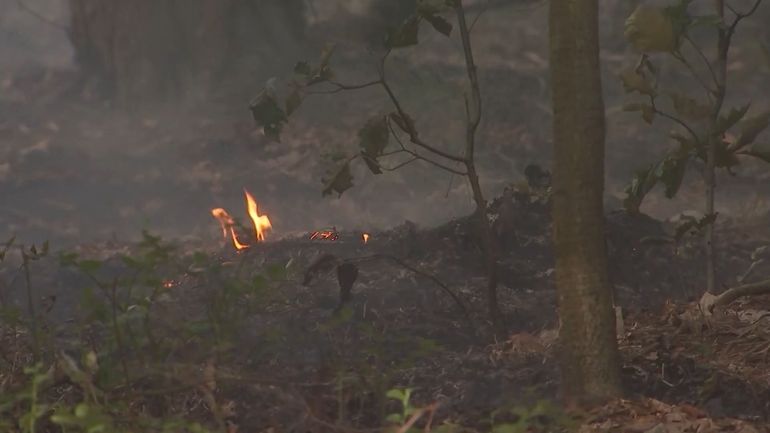 Le changement climatique a rendu la sécheresse de nos sols onze fois plus probable