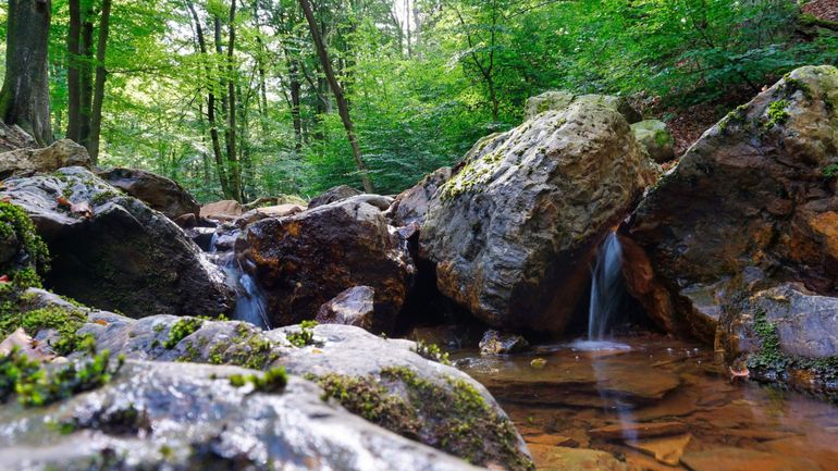 Une série de promenades à Spa, juste pour le plaisir de se balader sans se fatiguer
