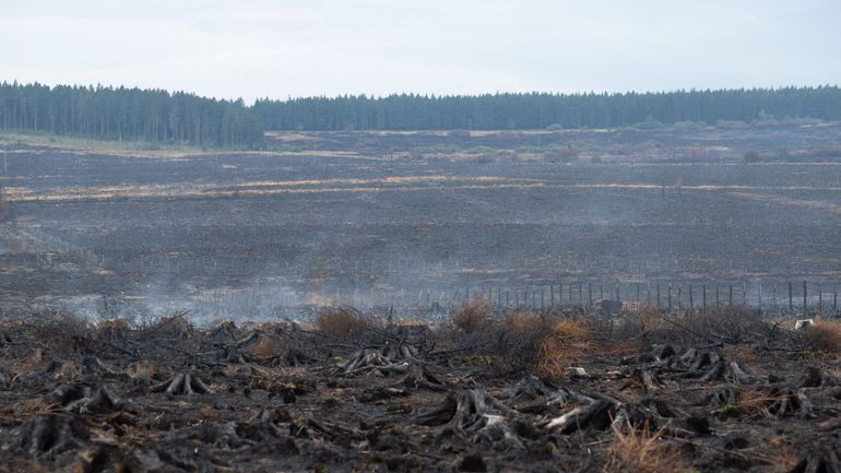 Pour le philosophe Simon Brunfaut, avec l’incendie des Hautes Fagnes : "Nous avons perdu une part de notre mémoire"