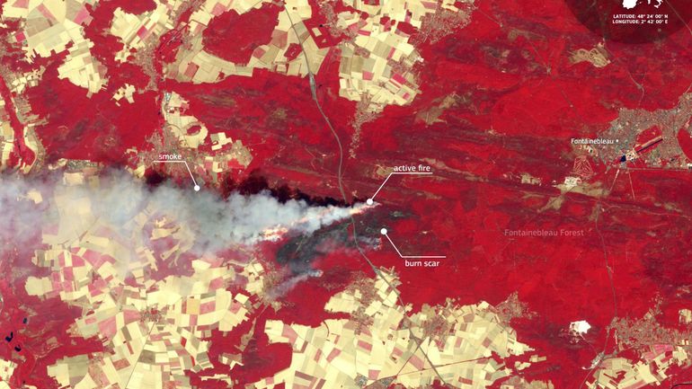 L'image satellite du jour : les dramatiques feux de forêt de Fontainebleau vus de l'espace