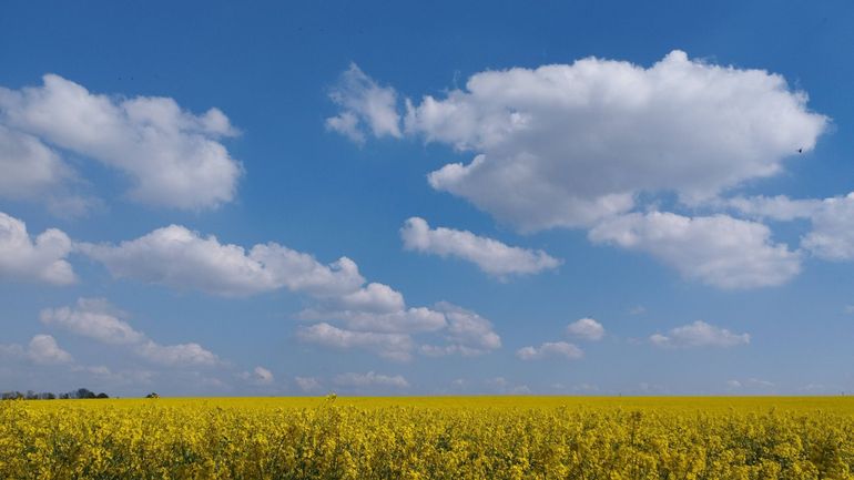 Météo en Belgique : on profite d'une belle journée printanière ce mercredi