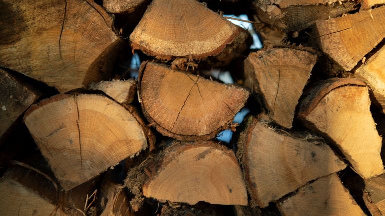 A Stavelot, la vente de bois communal atteint un prix record en Région wallonne
