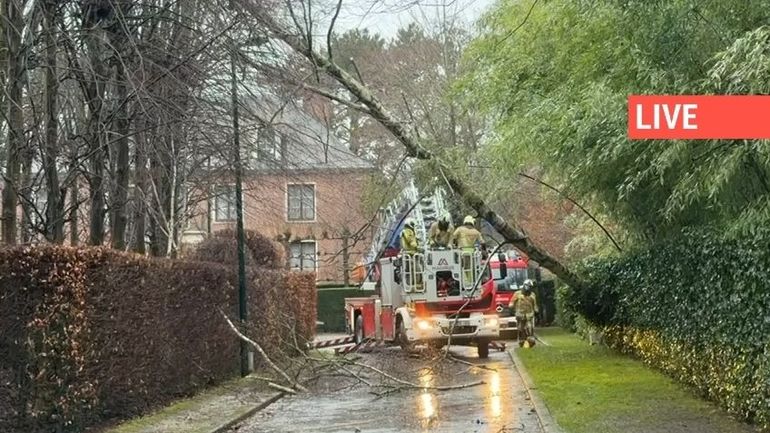 Direct - La Tempête Goretti frappe la Belgique : fortes rafales de vents, cours supprimés, interdiction de circulation pour certains camions...