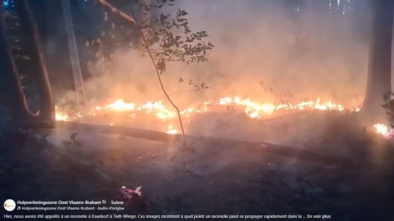 Des jeunes ont joué avec le feu : une zone naturelle en Brabant flamand a rapidement brûlé