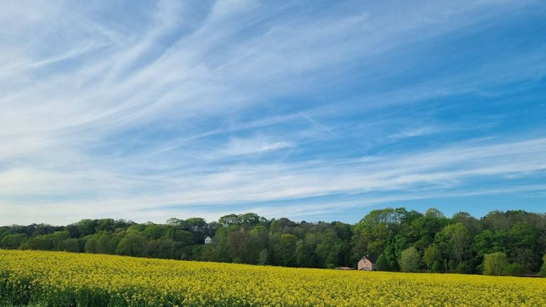Météo en Belgique : un temps de plus en plus lumineux
