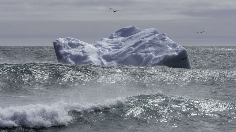 Réchauffement climatique : quatre fois plus d'icebergs naissent des glaciers groenlandais