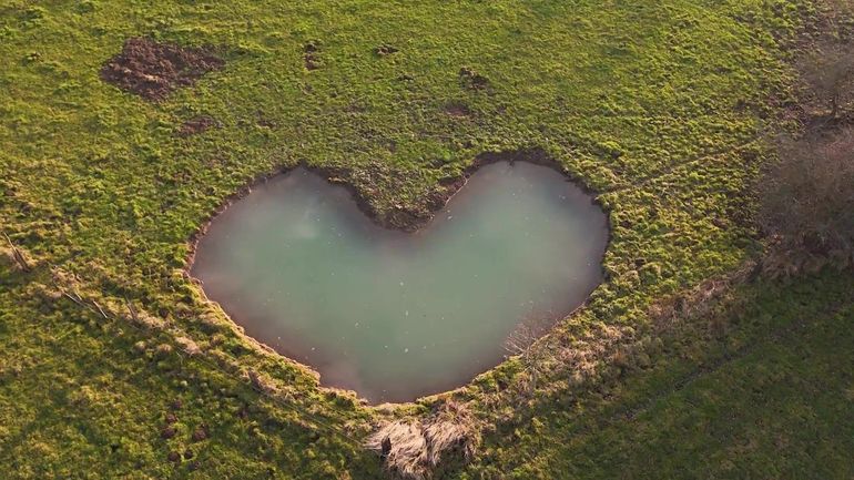 Face au déclin des zones humides, 140 mares forestières vont voir le jour
