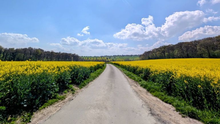 Météo en Belgique : du soleil en matinée suivi d’un temps plus instable sur le centre du pays