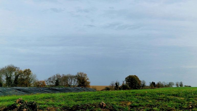 Météo en Belgique : un dimanche sous la grisaille Météo en Belgique : un dimanche sous la grisaille