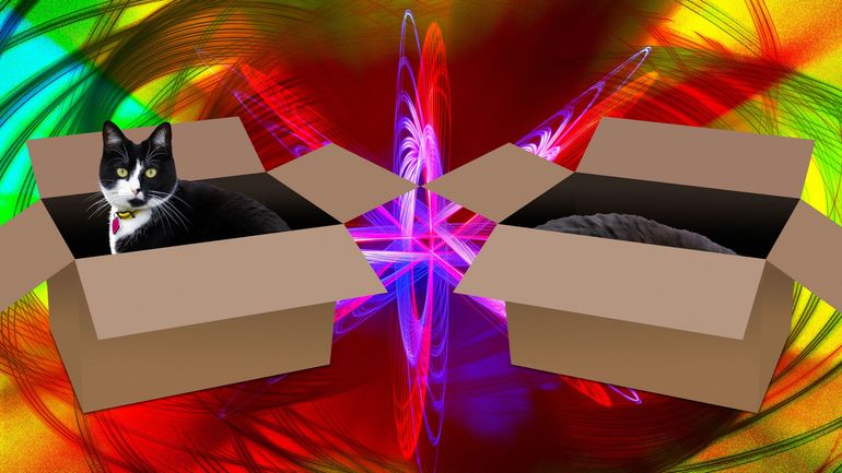 En mécanique quantique, décodons l'expérience de pensée du chat de Schrodinger En mécanique quantique, décodons l'expérience de pensée du chat de Schrodinger