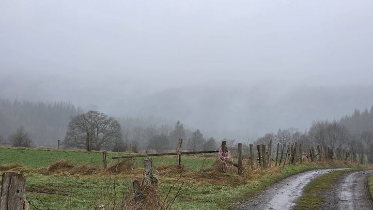 Météo de ce samedi en Belgique : Gris et pluvieux
