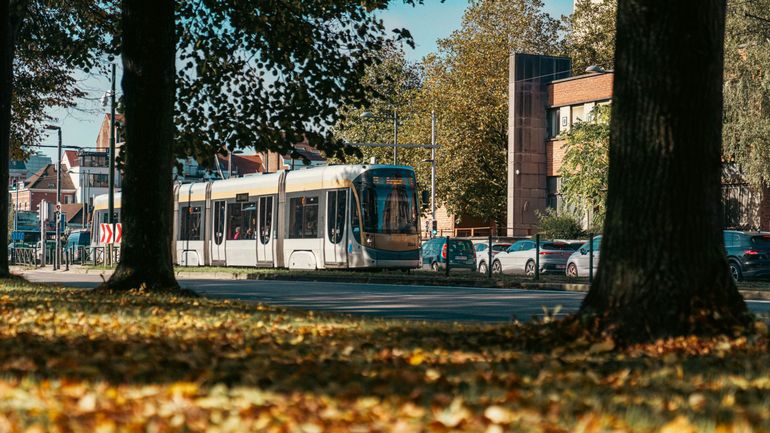 Laeken : un dépôt de trams va nécessiter l'abattage d'environ 200 arbres