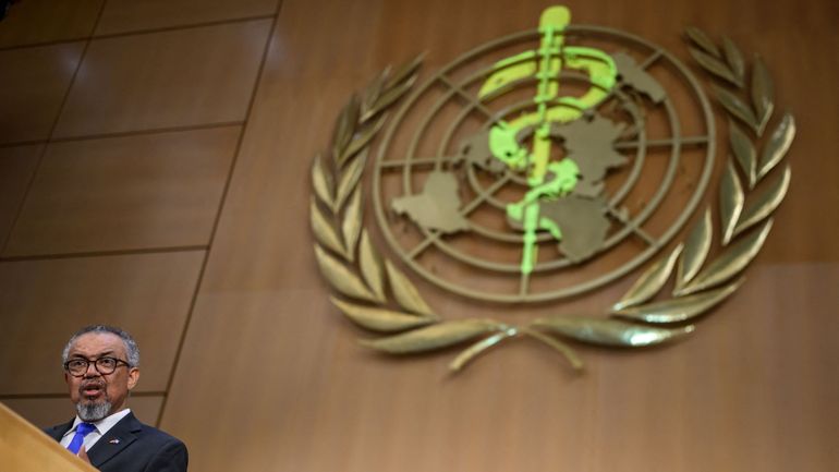 L'OMS ouvre son Assemblée annuelle sur fond du hantavirus et d'Ebola